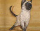Linda Yurgensen Animal Portraits, Widlife and Landscapes