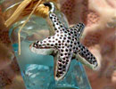 A2Sea Creations