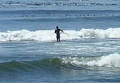 Camping Highlights Vancouver Island BC Canada