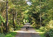 Biking Hiking Vancouver Island BC Canada