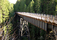 66 Mile Trestle Cowichan River Provincial Park