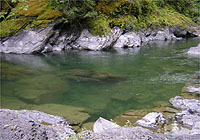 Marie Canyon Cowichan River Provincial Park