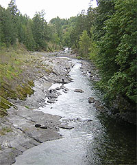 Cowichan River Provincial Park