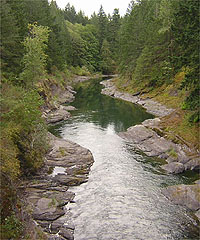 Cowichan River Provincial Park