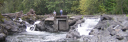 Skutz Falls Cowichan River Provincial Park