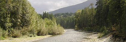 Stoltz Pool and Campgrounds Cowichan River Provincial Park