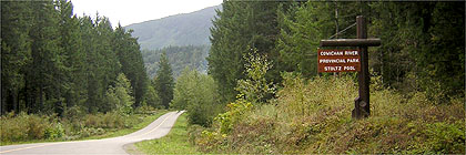 Stoltz Pool and Campgrounds Cowichan River Provincial Park