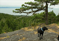 Babbington Hill, East Sooke Park, Sooke, BC