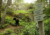 Babbington Hill, East Sooke Park, Sooke, BC