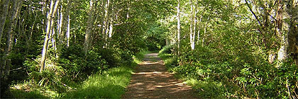 Coast Trail, East Sooke Park, Sooke, BC
