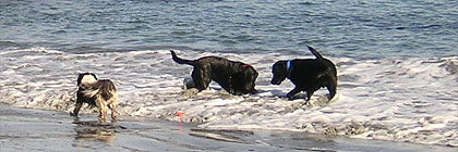 East Sooke Park Vancouver Island, BC