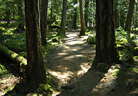 Englishman River Park