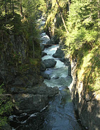 Englishman River Falls Provincial Park BC Canada