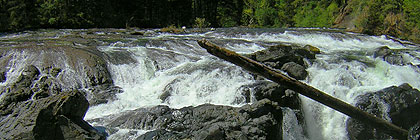 Englishman River Falls Provincial Park BC Canada
