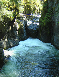 Englishman River Falls Provincial Park BC Canada