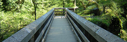 Englishman River Falls Provincial Park BC Canada