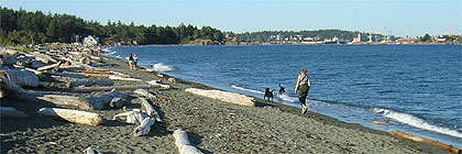 Esquimalt Lagoon  with CFB Esquimalt in the background.