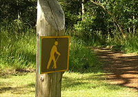 Nature Trail Fort Rodd Hill BC