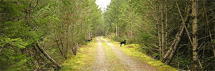 Galloping Goose Regional Trail