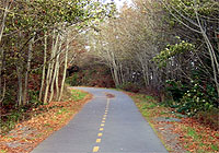 Lochside Trail Vancouver Island BC