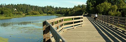 Lochside Trail Vancouver Island BC