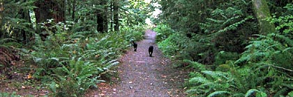 McKenzie Bight Gowlland Tod Park BC