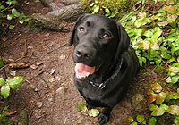 Thetis Lake Park Vancouver Island, BC