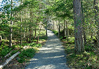 Lochside Trail Vancouver Island BC