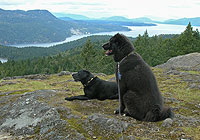 Mount Work Regional Park