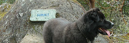 Mount Work Regional Park