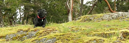 Partridge Hills Gowlland Tod Park BC