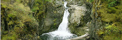 Little Qualicum Falls Provincial Park BC Canada