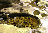 Sandcut Beach, Vancouver Island, BC