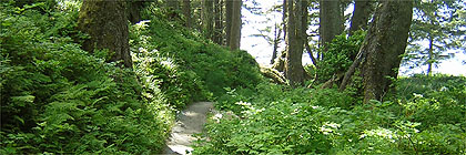 Sombrio Beach, Vancouver Island, BC