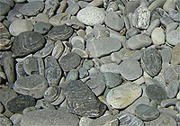 Sombrio Beach, Vancouver Island, BC