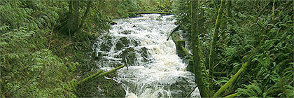 Gowlland Tod Provincial Park BC Canada
