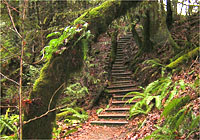 Gowlland Tod Provincial Park BC Canada