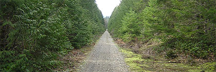 Holt Creek Trailhead Cowichan River Provincial Park